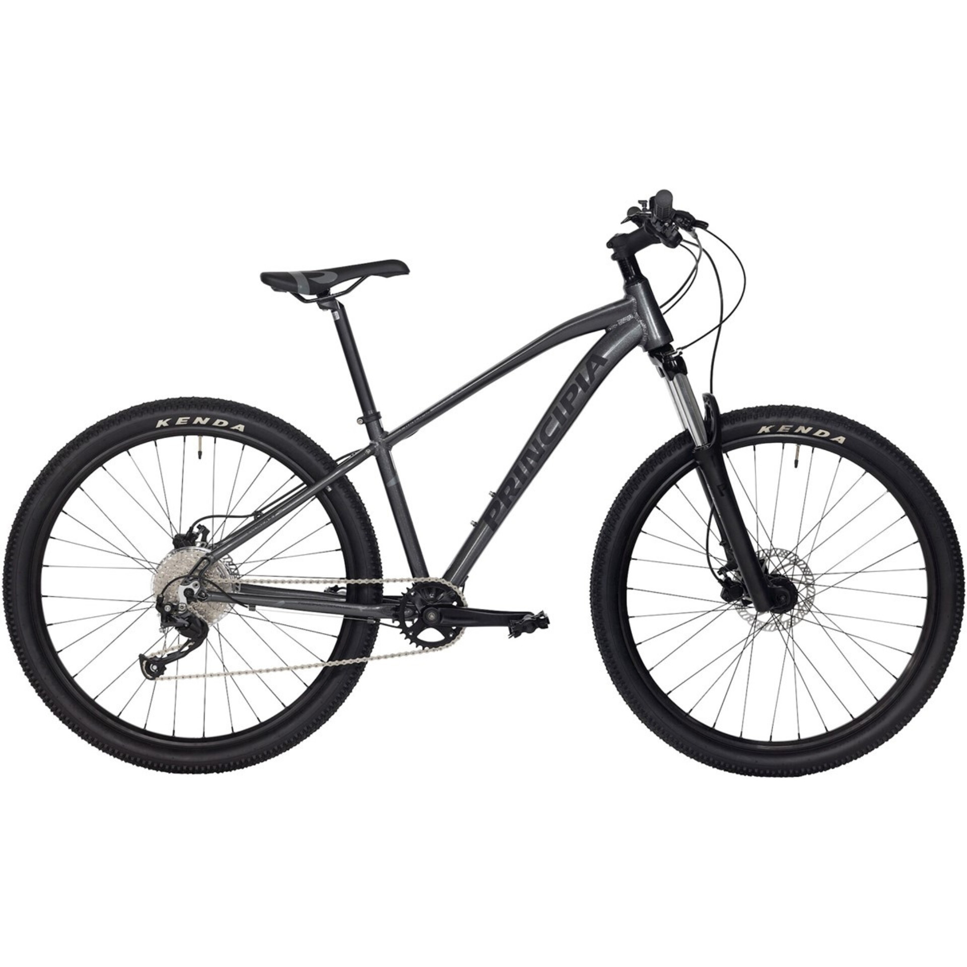 Principia MTB A3.9 29" 17" Titanium